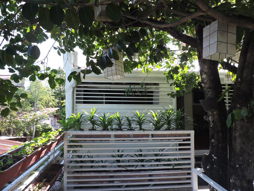 Orange Mangrove Pension House By Sms Hospitality Puerto Princesa Exterior photo